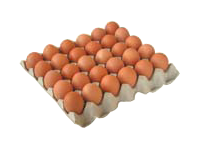 Vajíčka L, 1 ks