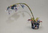 Orchidea
